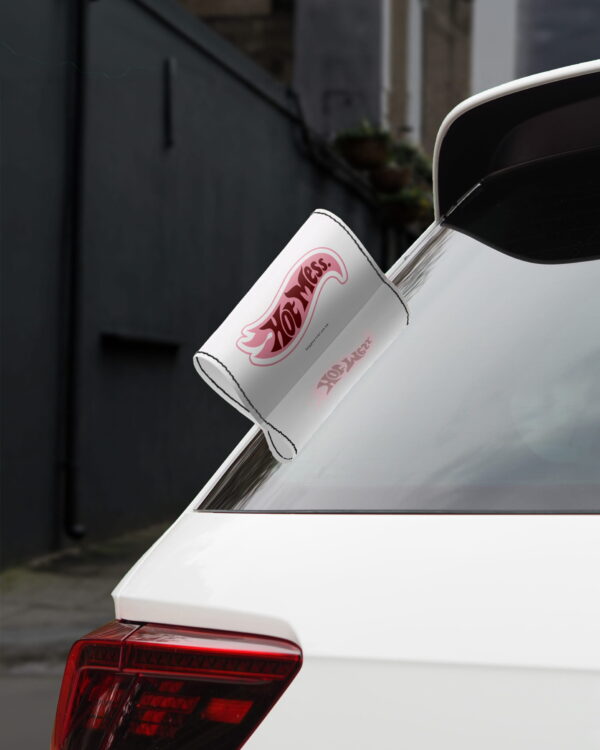 Car Tags Hot Mess Tag Your Car BG